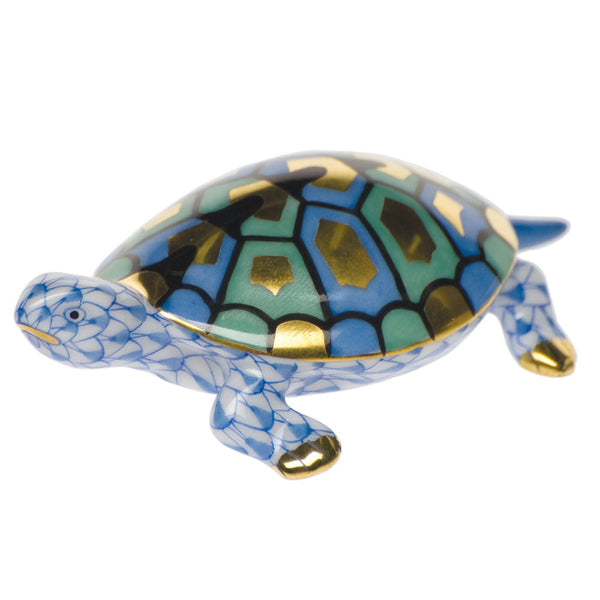 Baby Turtle