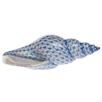 Tulip Shell — Blue