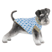 Schnauzer — Blue