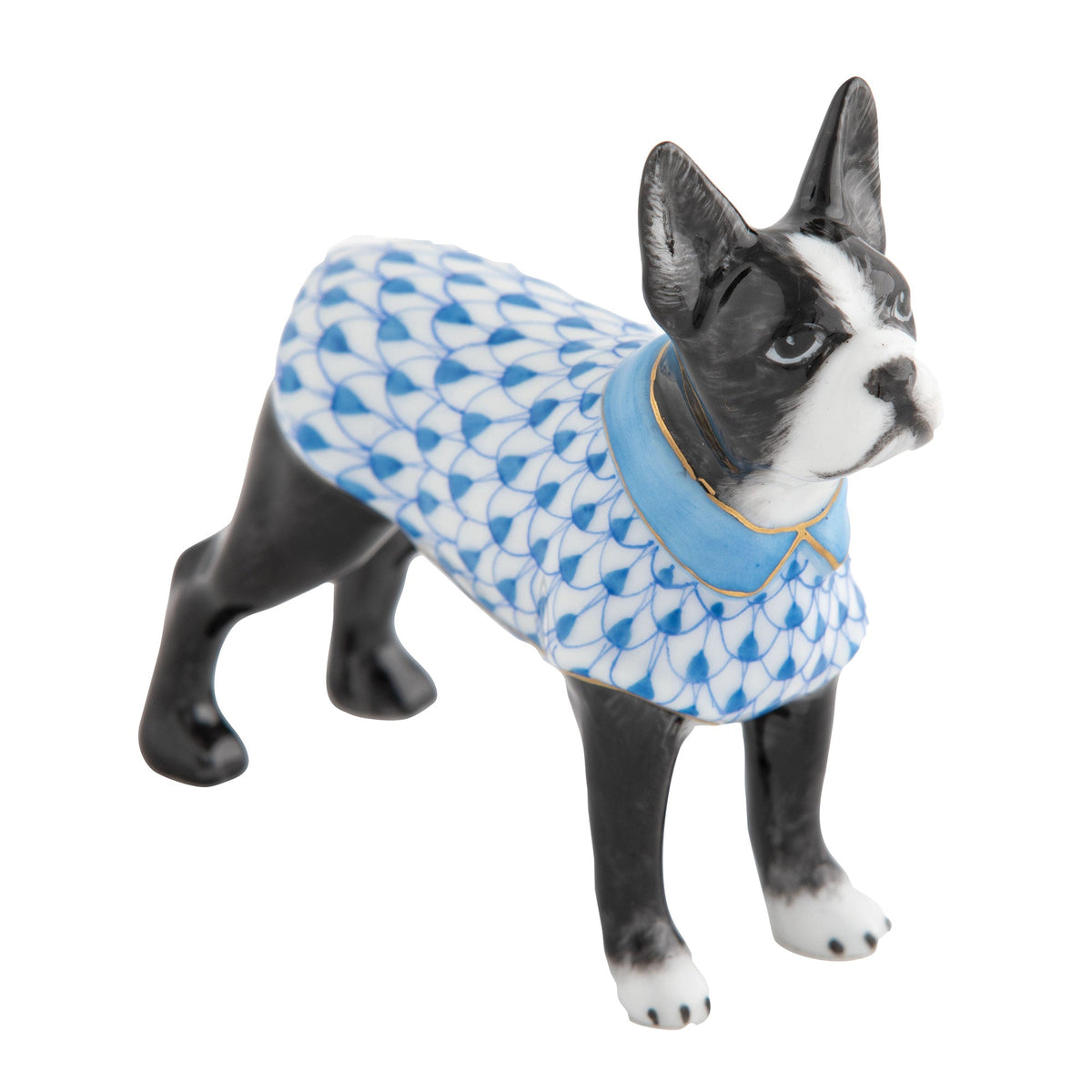Boston Bull Terrier — Blue