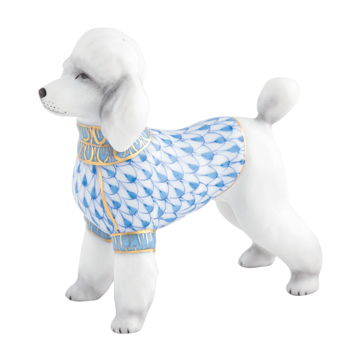 Toy Poodle — Blue