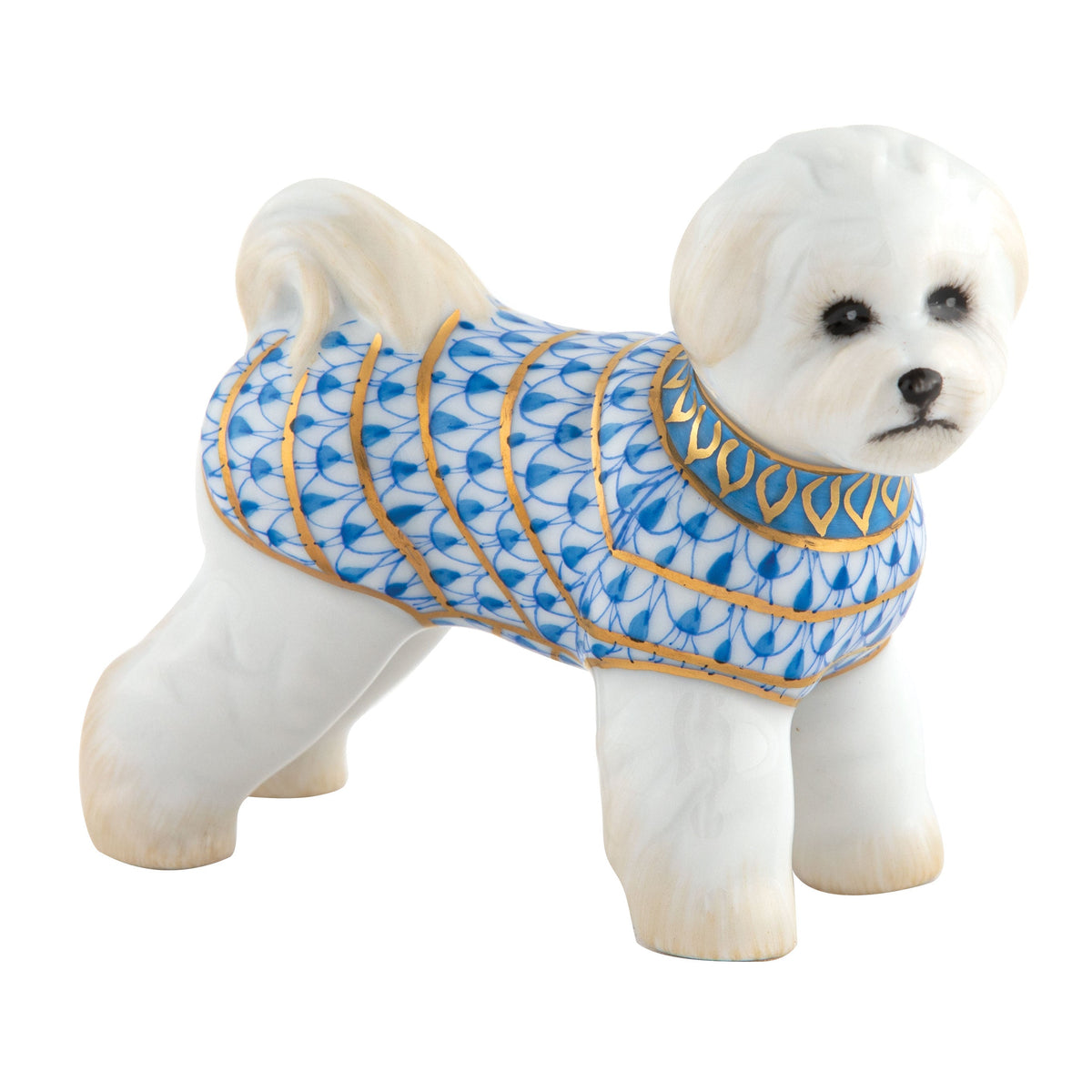 Bichon Frise — Blue