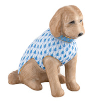 Labradoodle — Blue