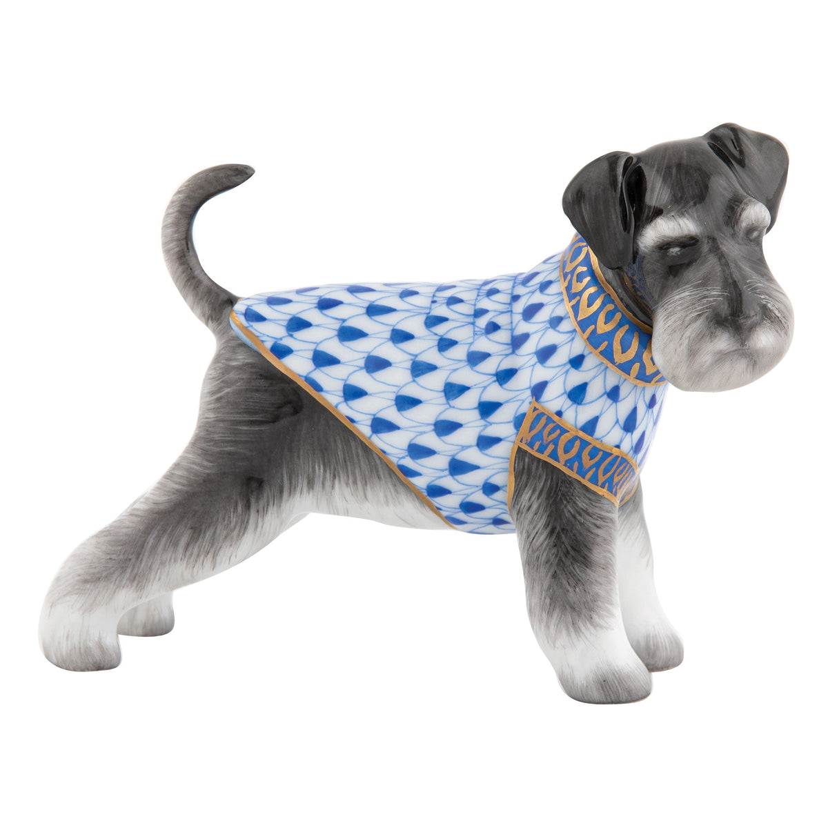 Schnauzer — Sapphire