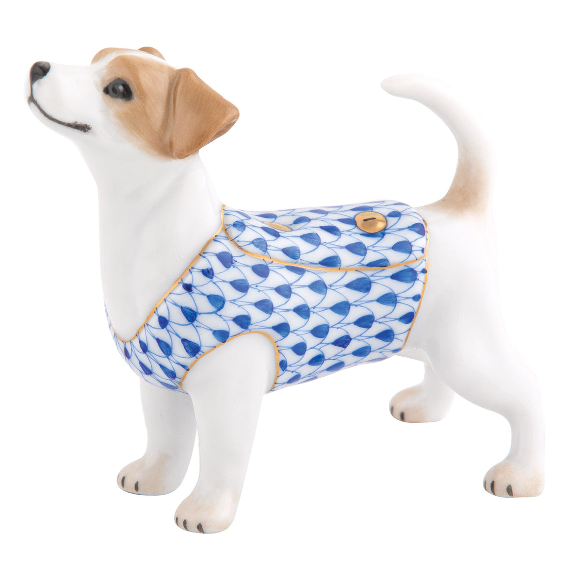Jack Russell Terrier — Sapphire