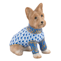 Yorkshire Terrier — Sapphire