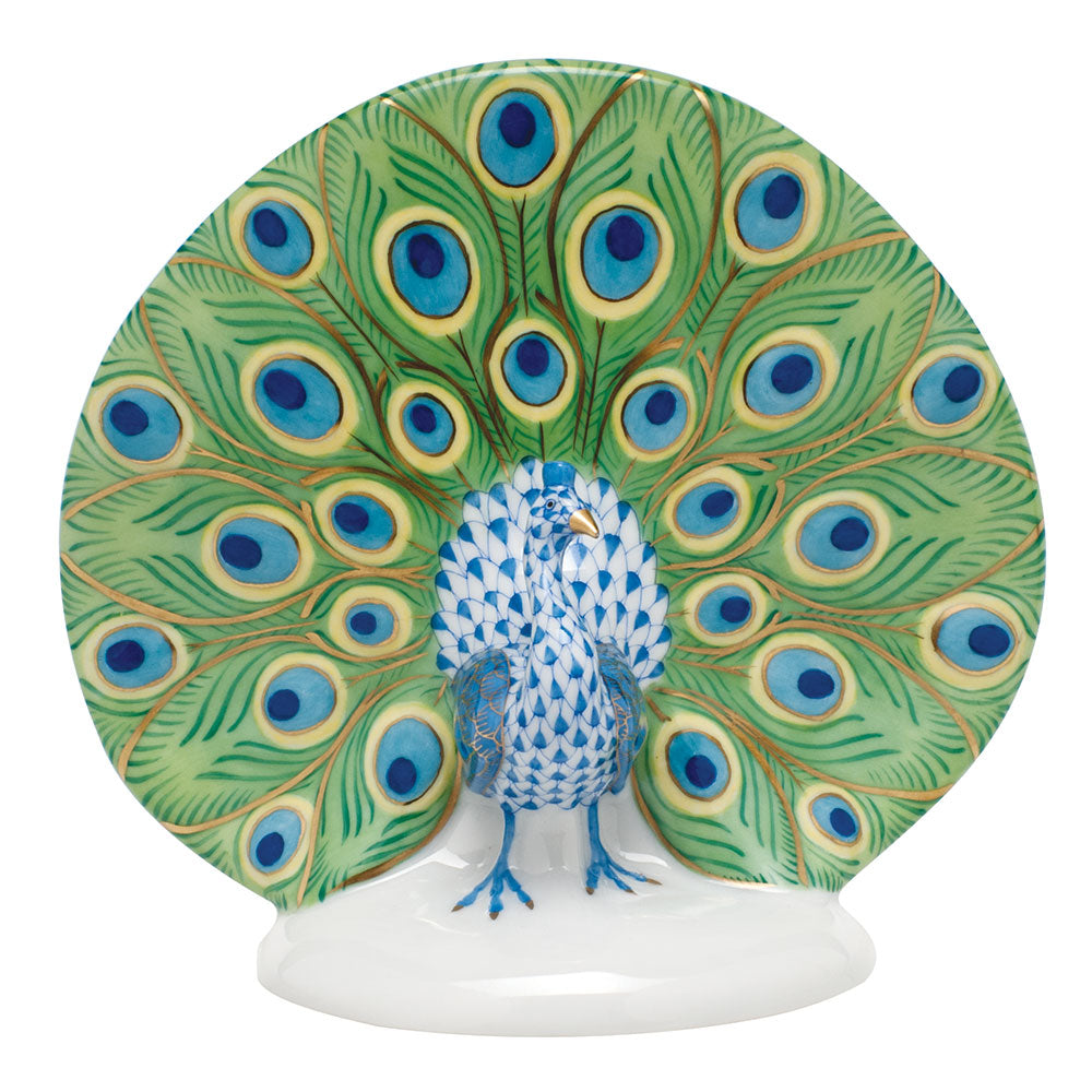 Peacock — Multicolor