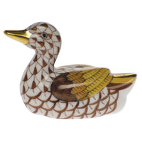 Baby Duck — Chocolate