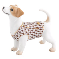Jack Russell Terrier — Chocolate