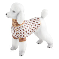 Toy Poodle — Chocolate