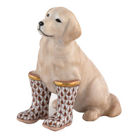 Rainy Day Retriever — Chocolate