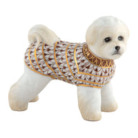 Bichon Frise — Chocolate