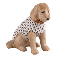 Labradoodle — Chocolate