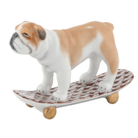 Skateboarding Bulldog — Chocolate