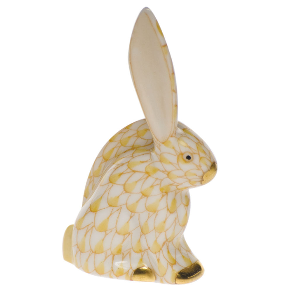Rabbit Miniature — Butterscotch