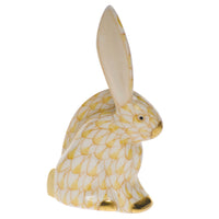 Rabbit Miniature — Butterscotch
