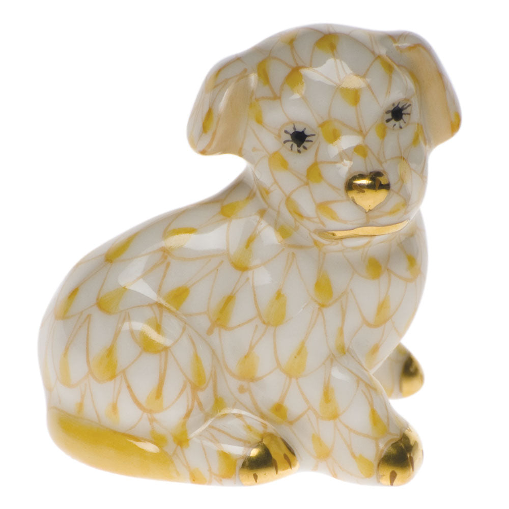 Miniature Puppy — Butterscotch