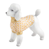 Toy Poodle — Butterscotch