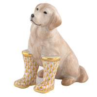 Rainy Day Retriever — Butterscotch