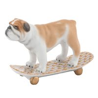 Skateboarding Bulldog — Butterscotch