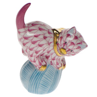 Mischievous Cat — Raspberry
