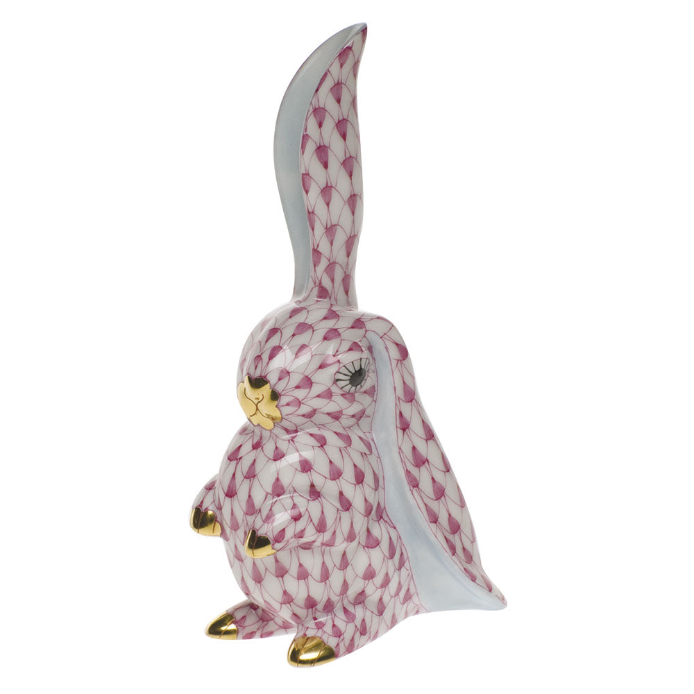 Rabbit with One Ear Up — Raspberry