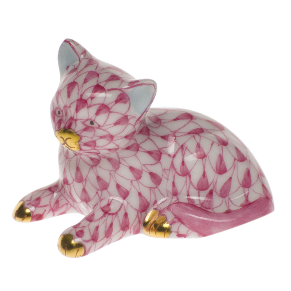 Miniature Kitten — Raspberry