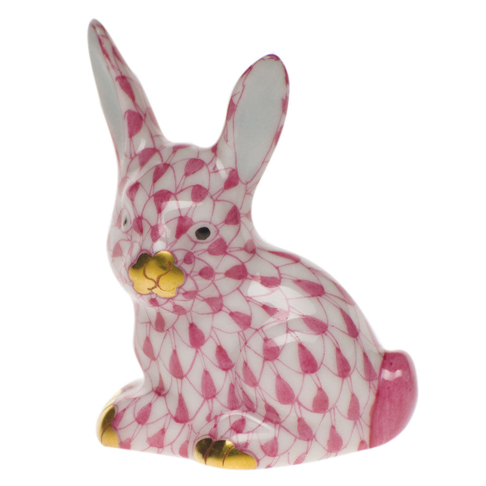 Miniature Rabbit — Raspberry