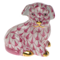 Miniature Puppy — Raspberry
