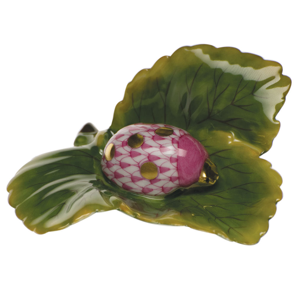 Ladybug — Raspberry