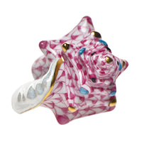 Small Conch Shell — Raspberry