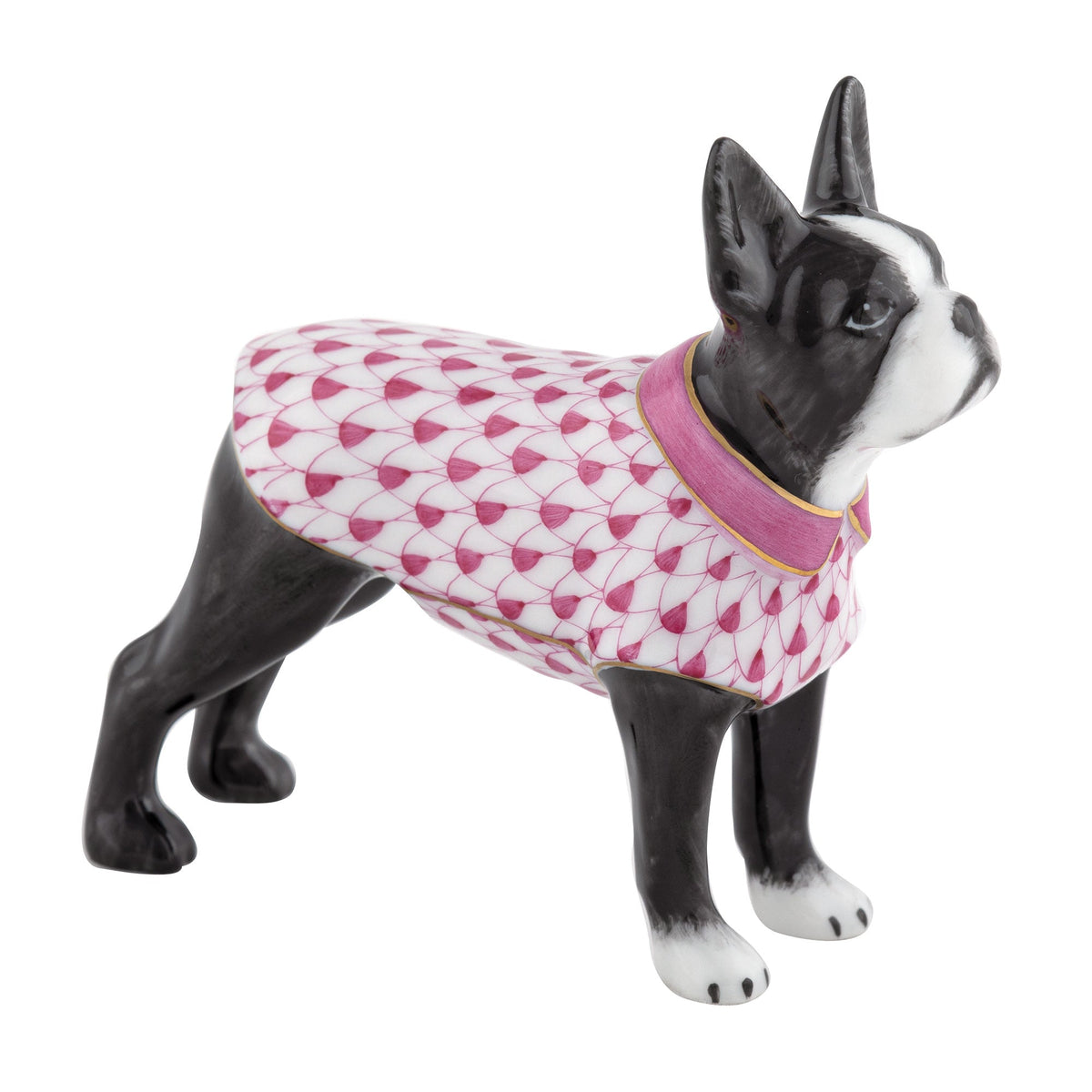 Boston Bull Terrier — Raspberry