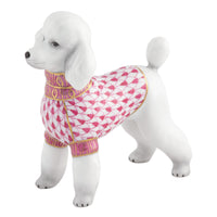 Toy Poodle — Raspberry
