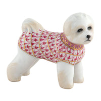 Bichon Frise — Raspberry