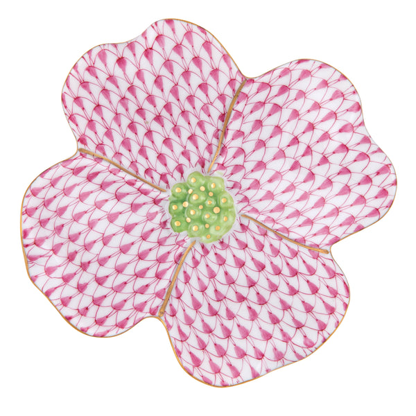 Dogwood Flower