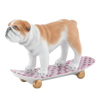 Skateboarding Bulldog — Raspberry