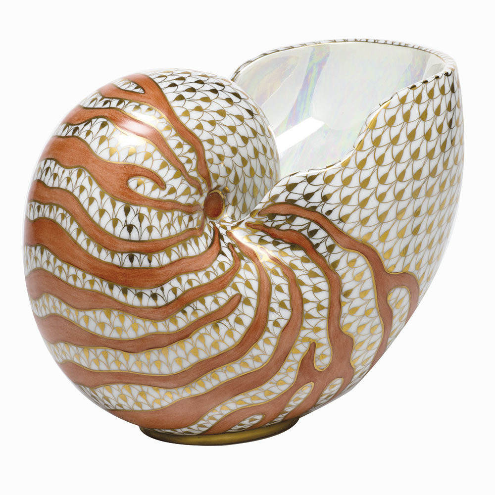 Nautilus — Multicolor