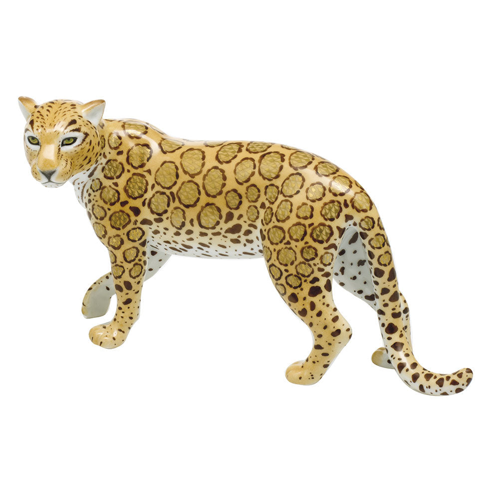 Jaguar — Multicolor