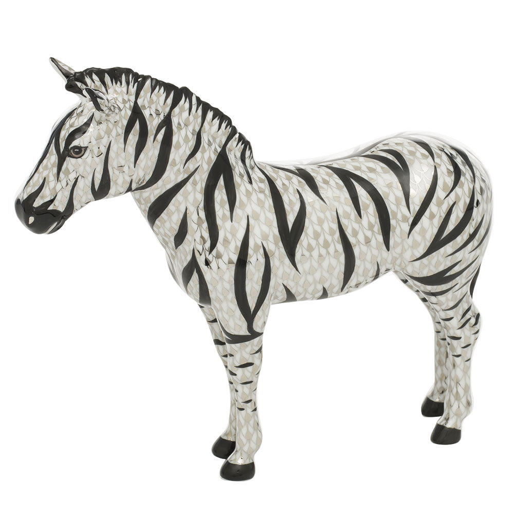 Large Zebra — Multicolor