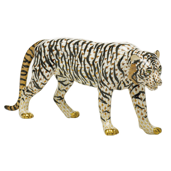Sumatran Tiger