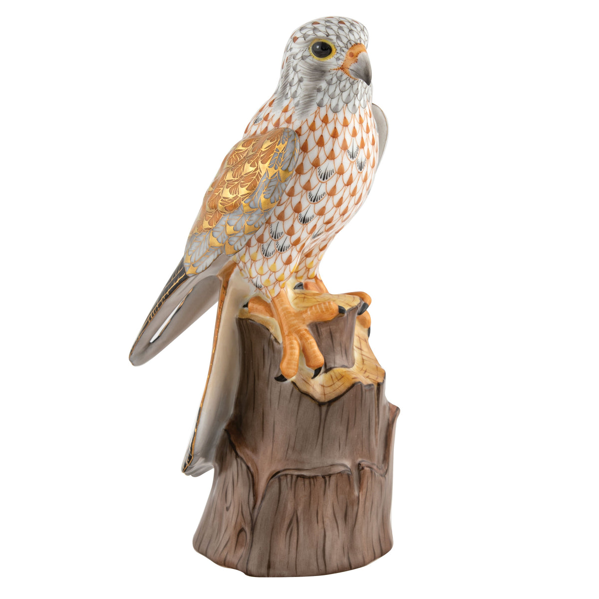 American Kestrel — Multicolor