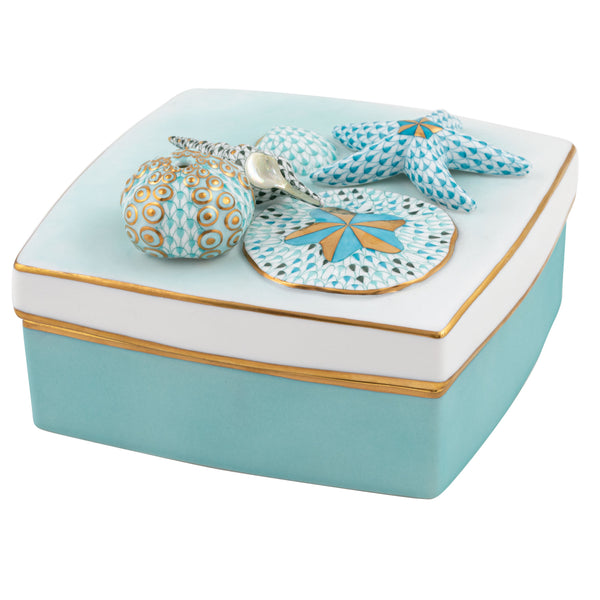 Shell Box