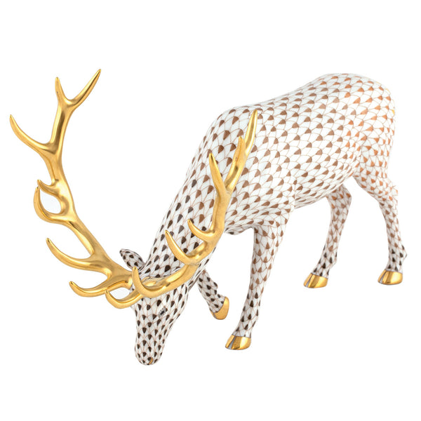 Olympic Elk