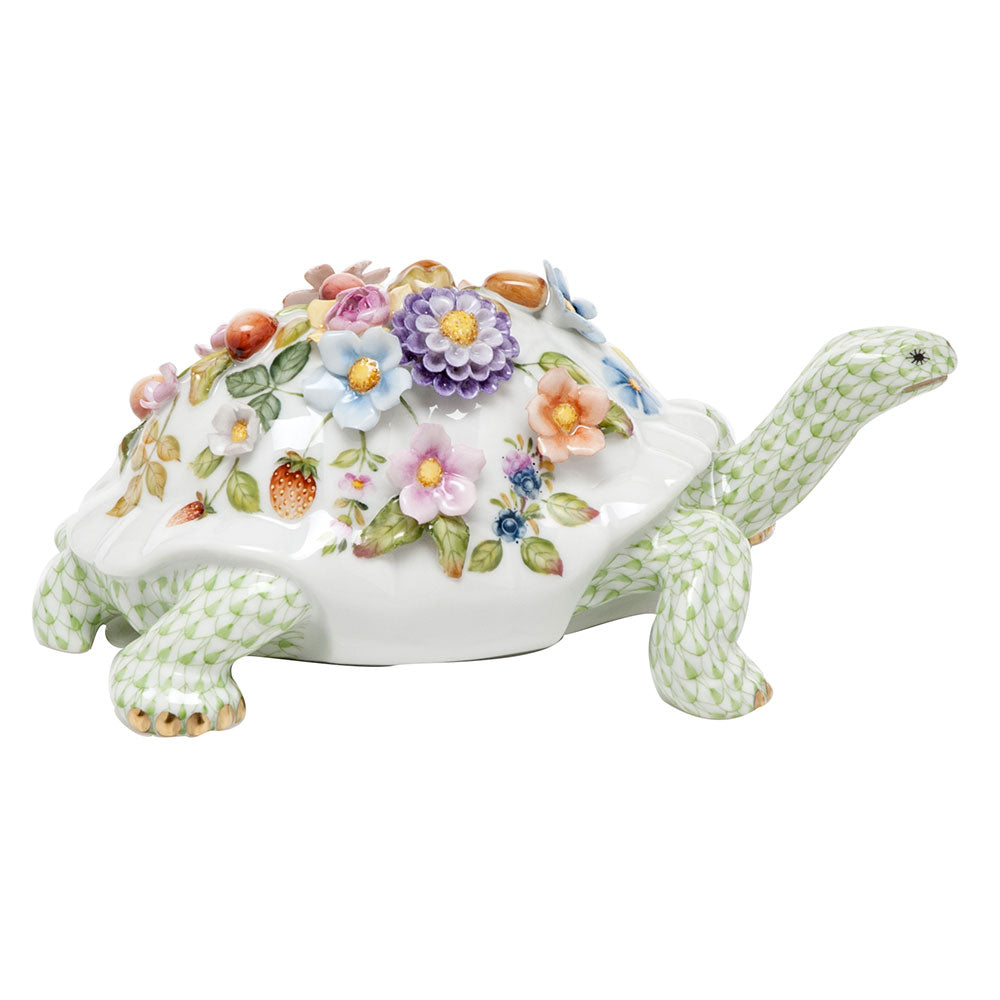 Blossoming Tortoise — Multicolor