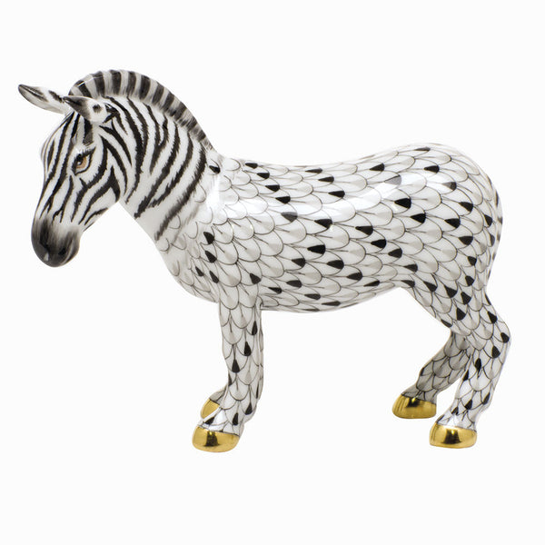 Zebra