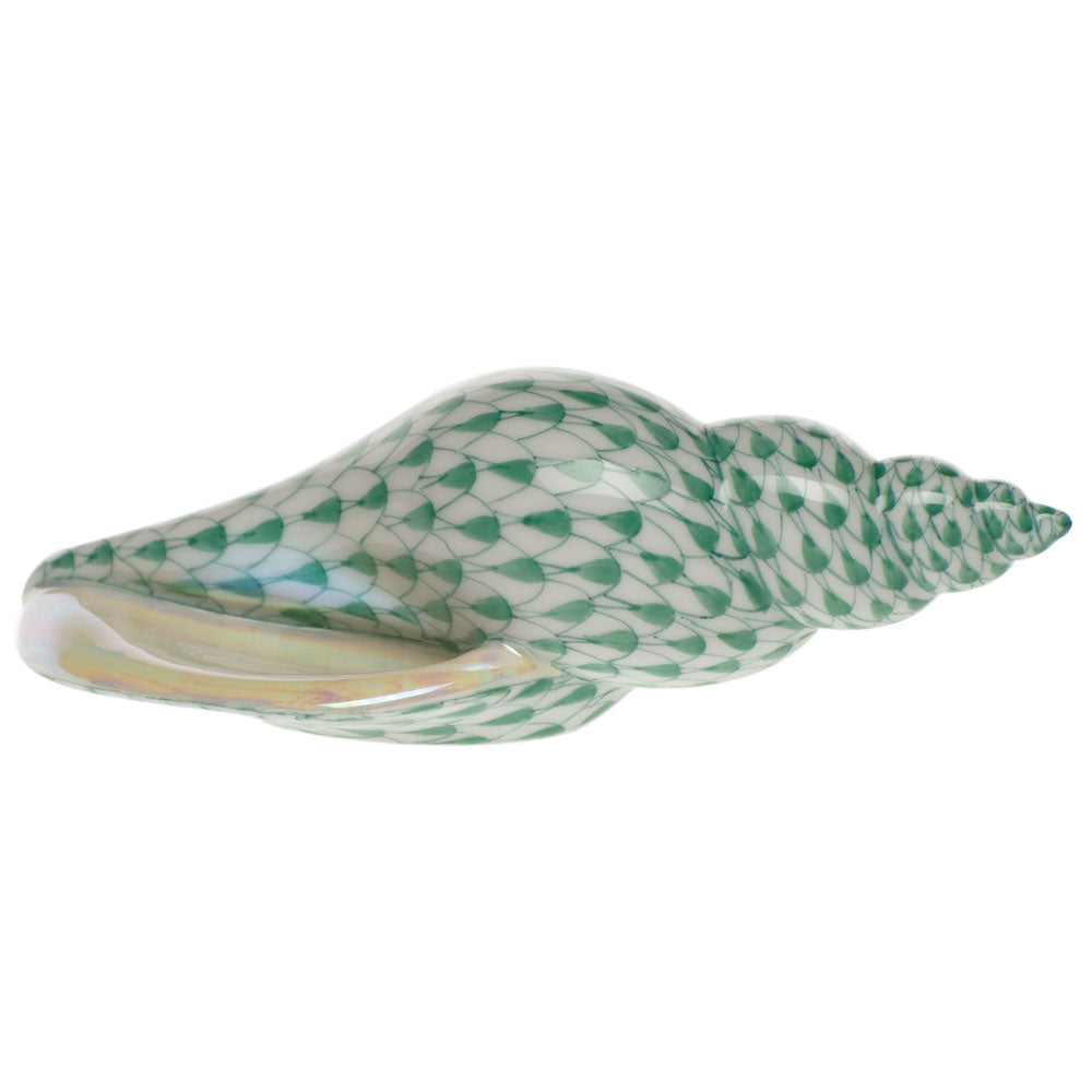 Tulip Shell — Green