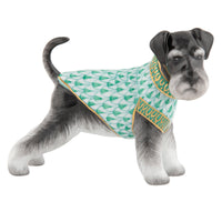 Schnauzer — Green