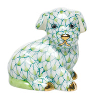 Miniature Puppy — Keylime