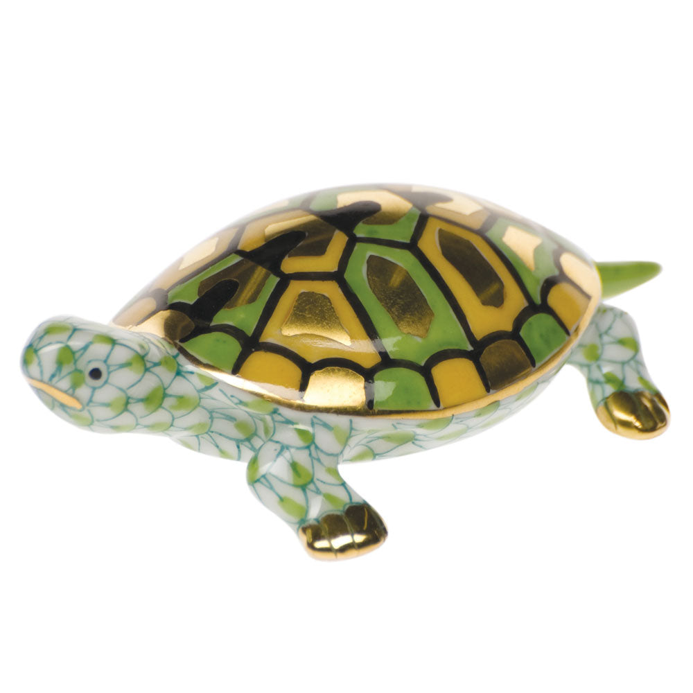 Baby Turtle — Keylime