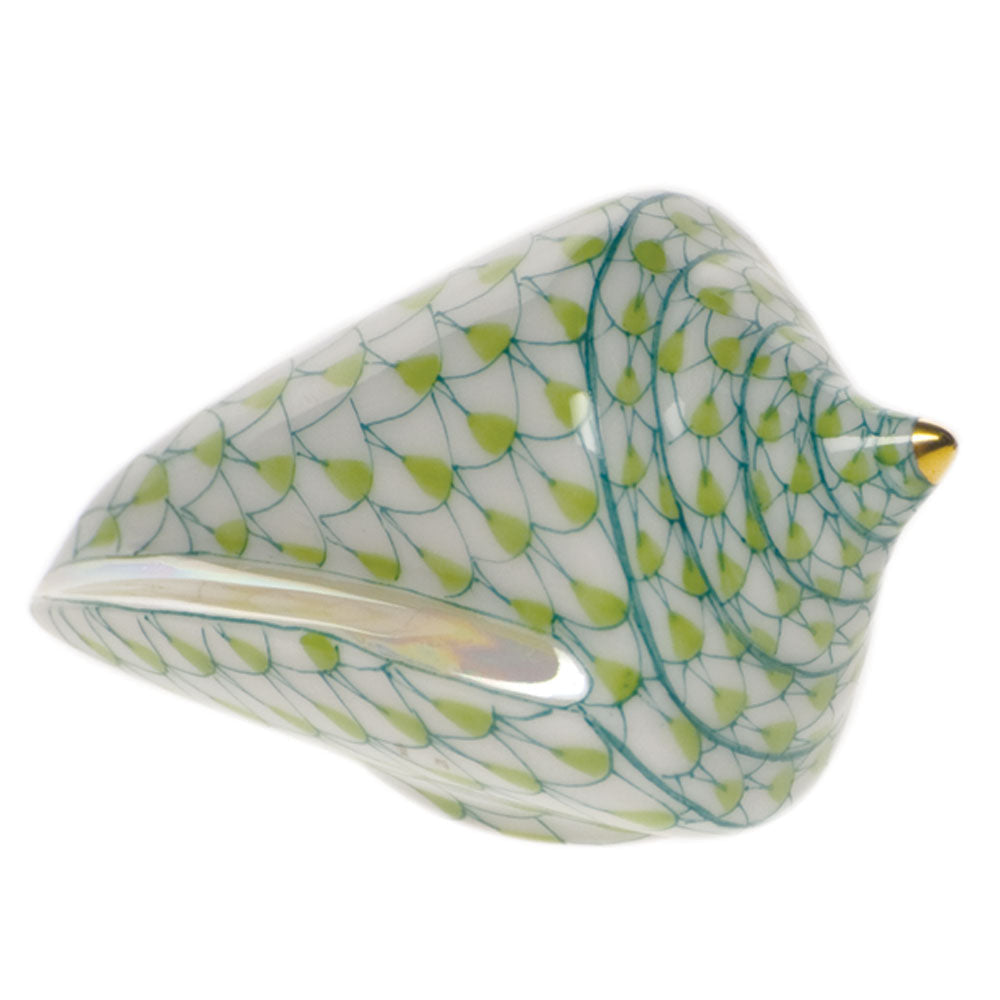Cone Shell — Keylime